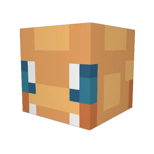 segji Minecraft avatar head, 3D render