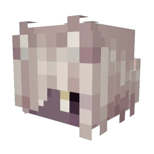 segs_master Minecraft avatar head, 3D render
