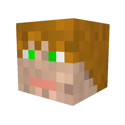 seguran2000 Minecraft avatar head, 3D render