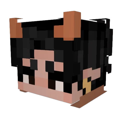 sehyeun Minecraft avatar head, 3D render