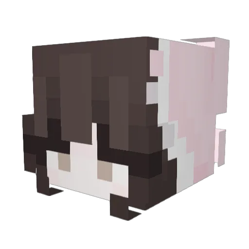 seiddbro Minecraft avatar head, 3D render