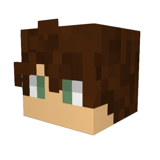 seigneur_buibui Minecraft avatar head, 3D render