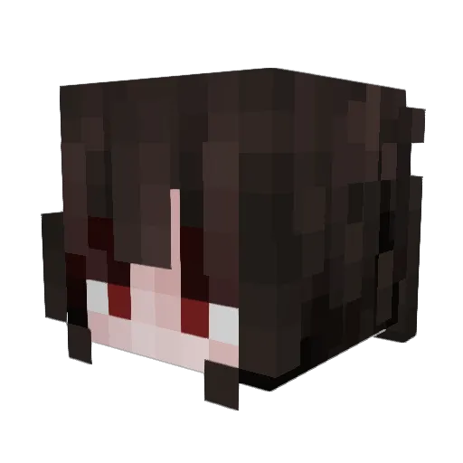 seikatsuuu Minecraft avatar head, 3D render
