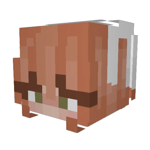 seillie Minecraft avatar head, 3D render