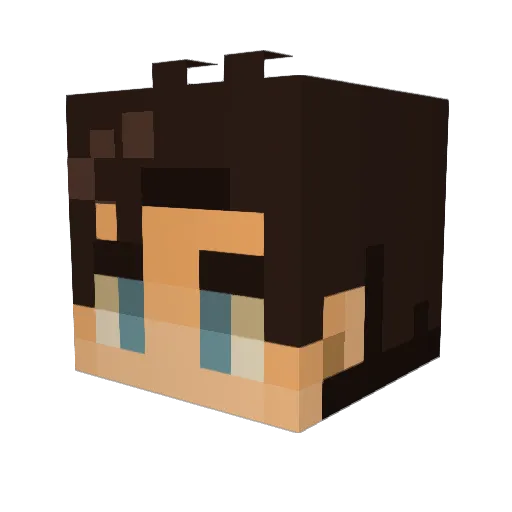seimeister Minecraft avatar head, 3D render