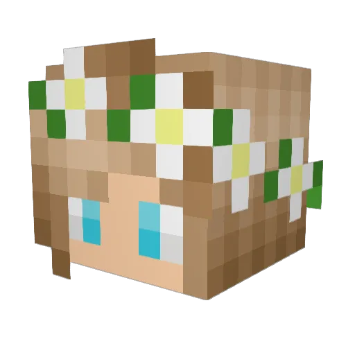 sein3 Minecraft avatar head, 3D render
