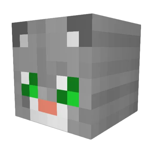 seina555 Minecraft avatar head, 3D render