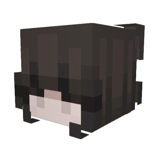 seinely Minecraft avatar head, 3D render