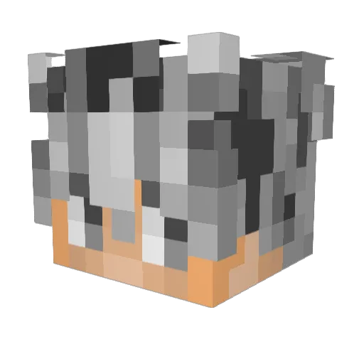 seirdo Minecraft avatar head, 3D render