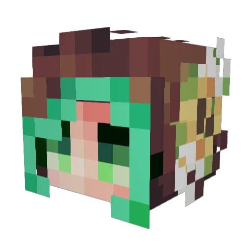 seismopsycho Minecraft avatar head, 3D render