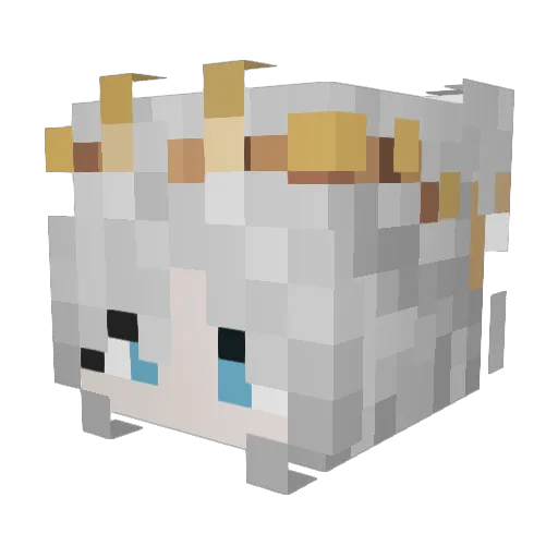 seiswagg Minecraft avatar head, 3D render