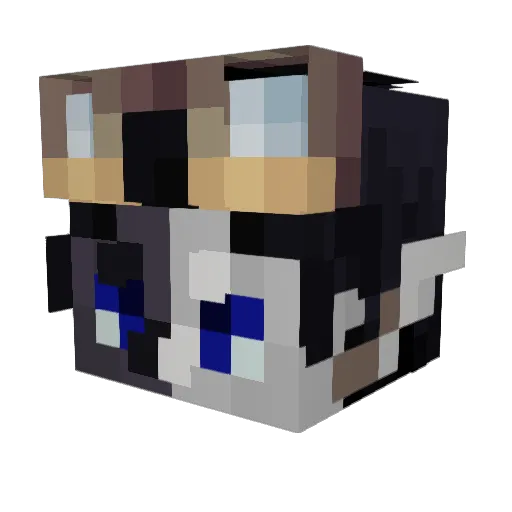 seitorai Minecraft avatar head, 3D render