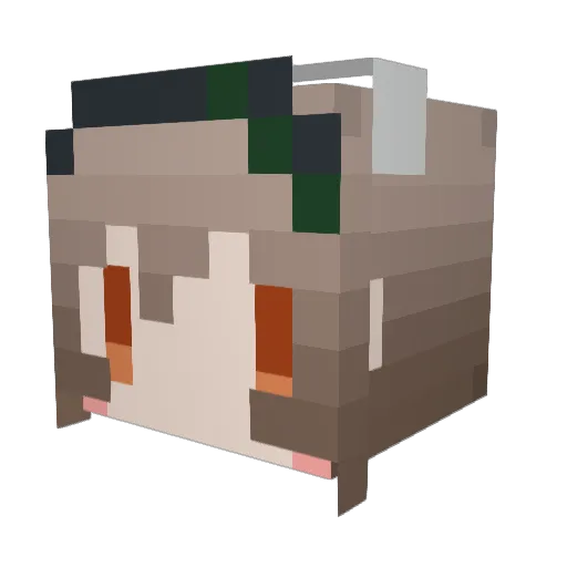seiya2003 Minecraft avatar head, 3D render