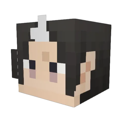 seiya270 Minecraft avatar head, 3D render