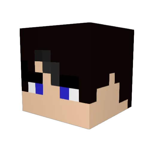 seiyadmin Minecraft avatar head, 3D render