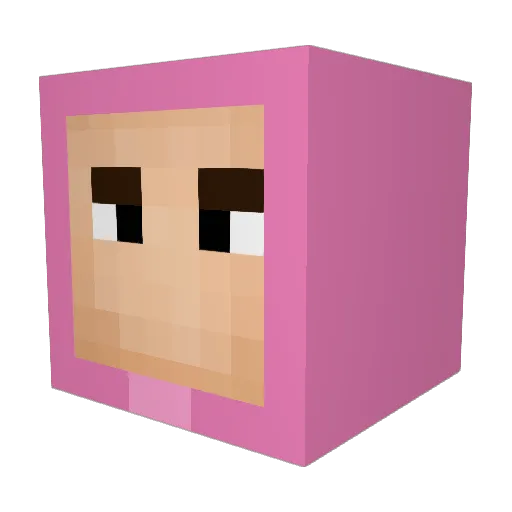 sejeBarde Minecraft avatar head, 3D render