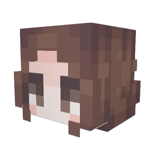 sejjang Minecraft avatar head, 3D render