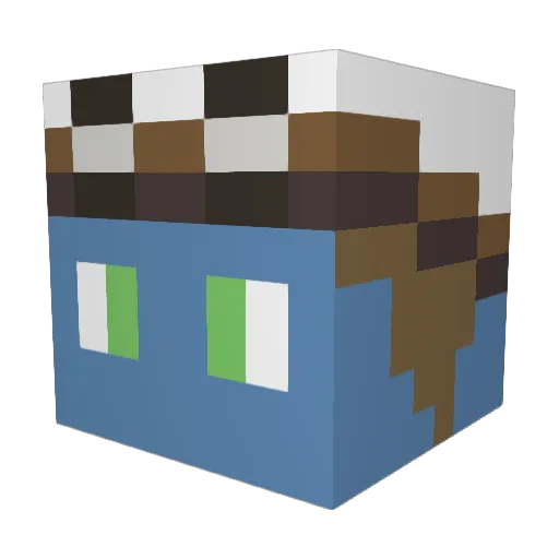 sejr5 Minecraft avatar head, 3D render