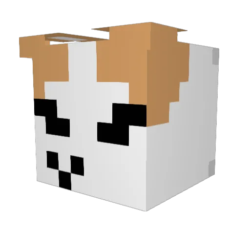 sekins Minecraft avatar head, 3D render