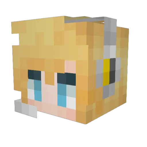 sekken0406 Minecraft avatar head, 3D render