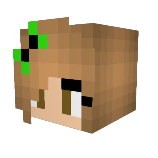 sel16 Minecraft avatar head, 3D render