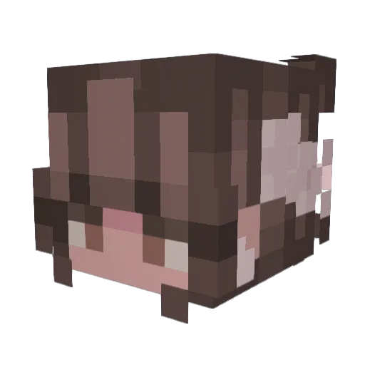 sel1nsky Minecraft avatar head, 3D render