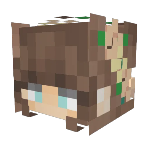 selahjoy1717 Minecraft avatar head, 3D render