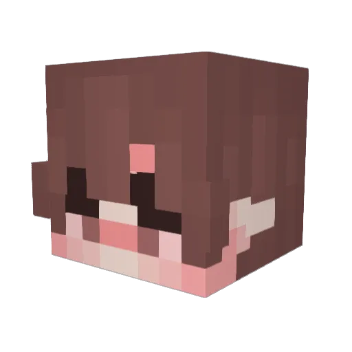 selbel_19 Minecraft avatar head, 3D render