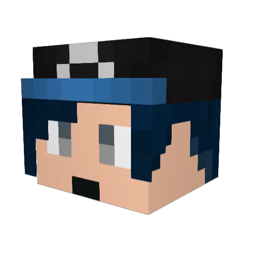 selc888 Minecraft avatar head, 3D render