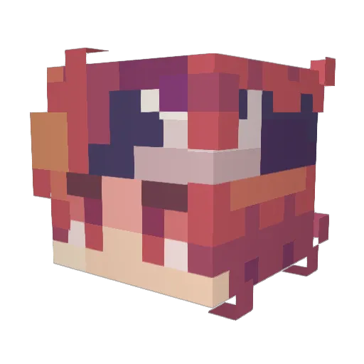 selcouth24 Minecraft avatar head, 3D render