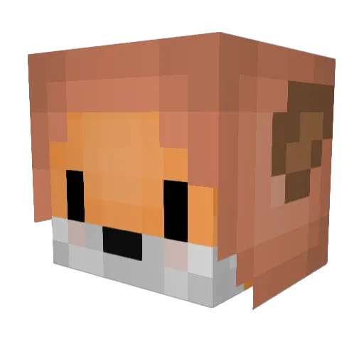 selenophile__ Minecraft avatar head, 3D render