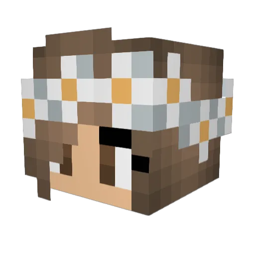 selenz Minecraft avatar head, 3D render