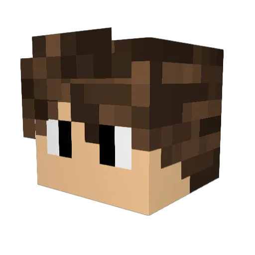 seler1tt Minecraft avatar head, 3D render