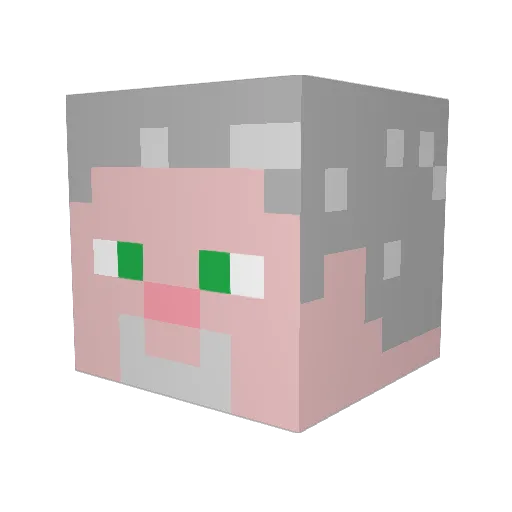 selerius Minecraft avatar head, 3D render