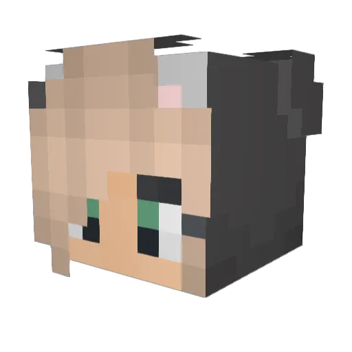 selfburn Minecraft avatar head, 3D render