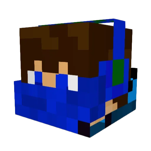 selfcontrol Minecraft avatar head, 3D render