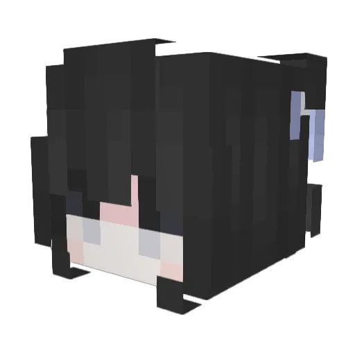 selflsh Minecraft avatar head, 3D render