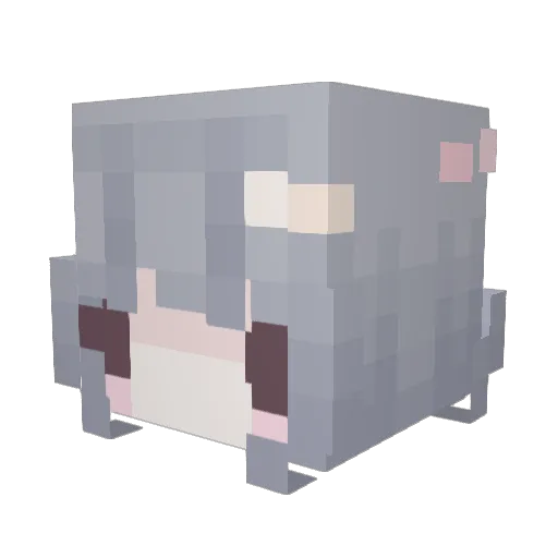 selfmoord Minecraft avatar head, 3D render
