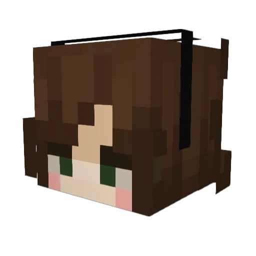 selin0 Minecraft avatar head, 3D render