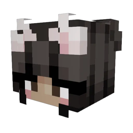 selinaa_ Minecraft avatar head, 3D render