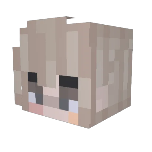 selkiecourts Minecraft avatar head, 3D render