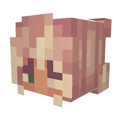 selkietown Minecraft avatar head, 3D render