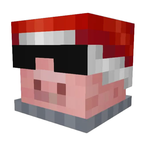 sellmylungs Minecraft avatar head, 3D render