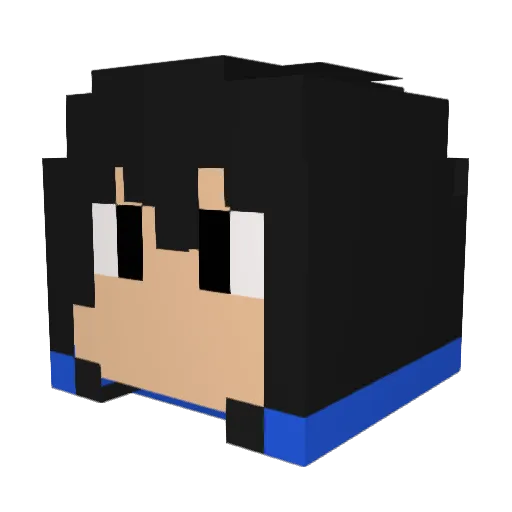 sellon44 Minecraft avatar head, 3D render