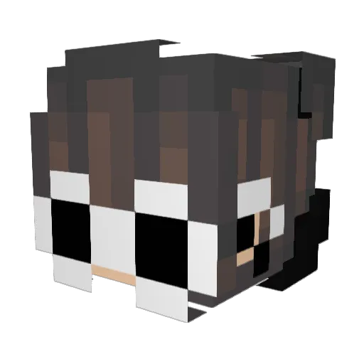 sellover69 Minecraft avatar head, 3D render