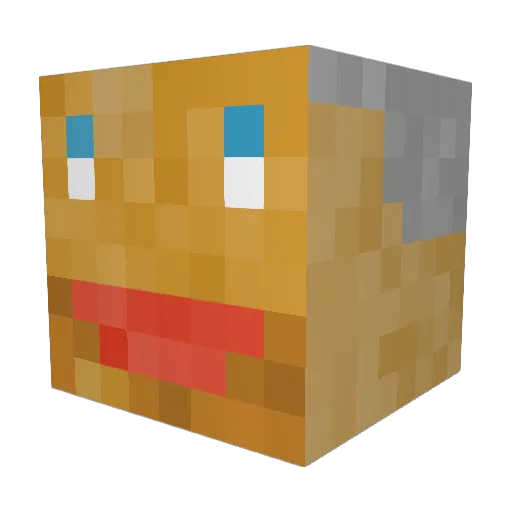selma_jojo3 Minecraft avatar head, 3D render