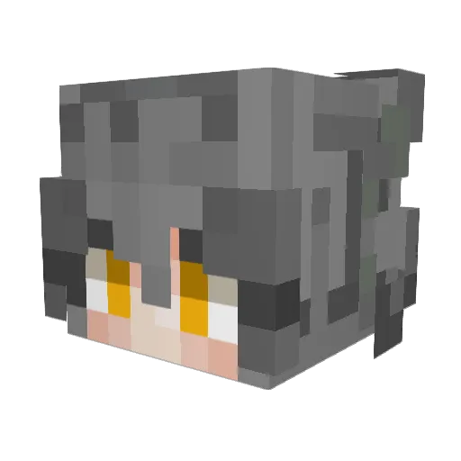 selphirus_muskil Minecraft avatar head, 3D render
