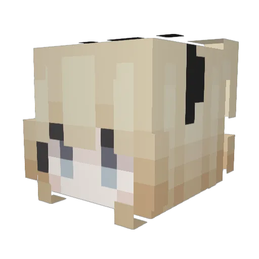 selqa Minecraft avatar head, 3D render