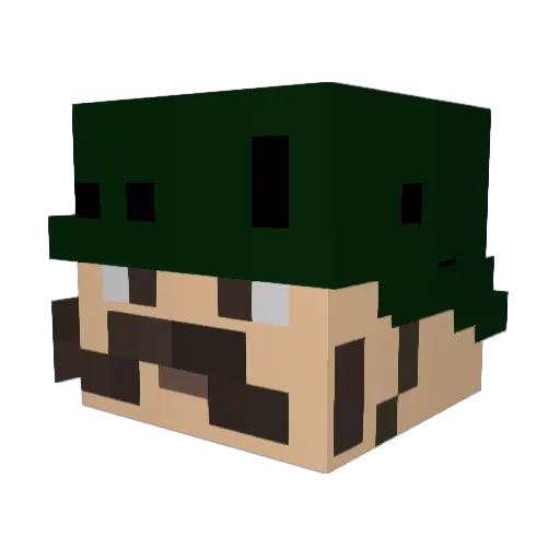 seltles Minecraft avatar head, 3D render