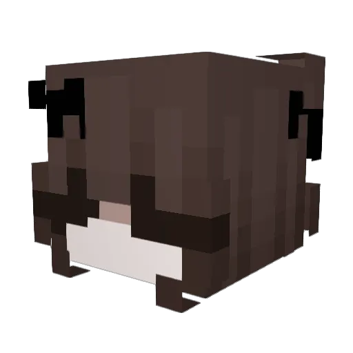 seluraa Minecraft avatar head, 3D render
